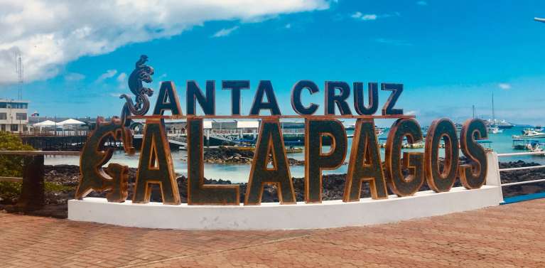 How to Visit the Galápagos Without a Cruise